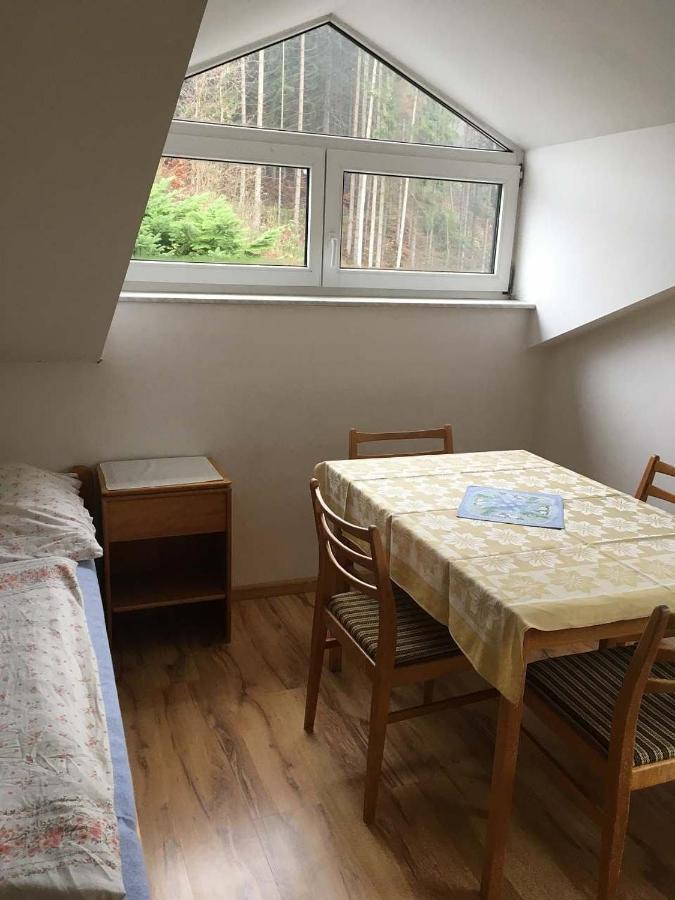 Apartman - Rokytnice Nad Jizerou Apartment Екстериор снимка