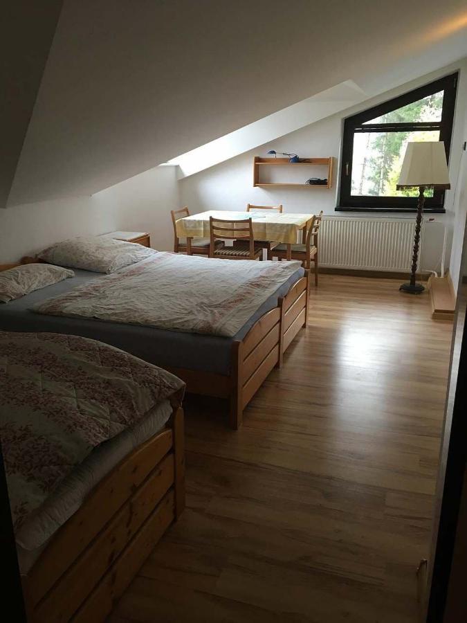 Apartman - Rokytnice Nad Jizerou Apartment Екстериор снимка